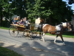 gyermek2015_81_20210412